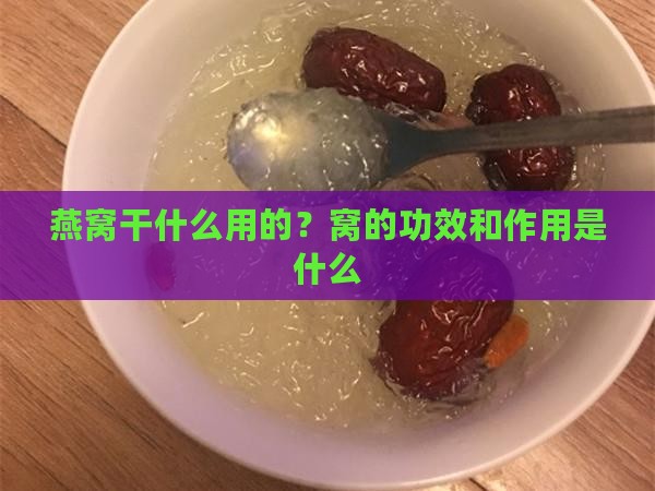 燕窝干什么用的？窝的功效和作用是什么