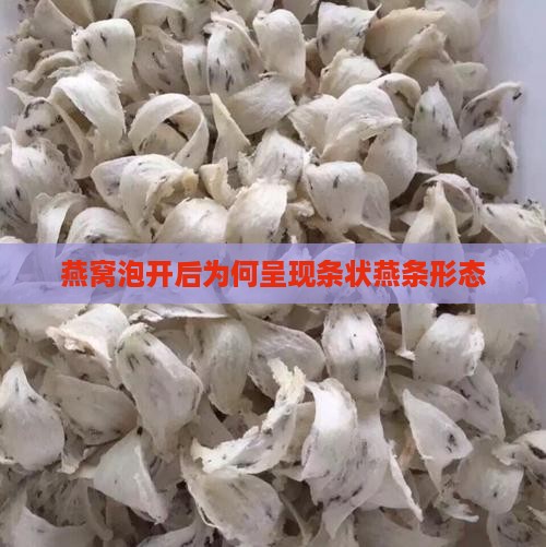 燕窝泡开后为何呈现条状燕条形态