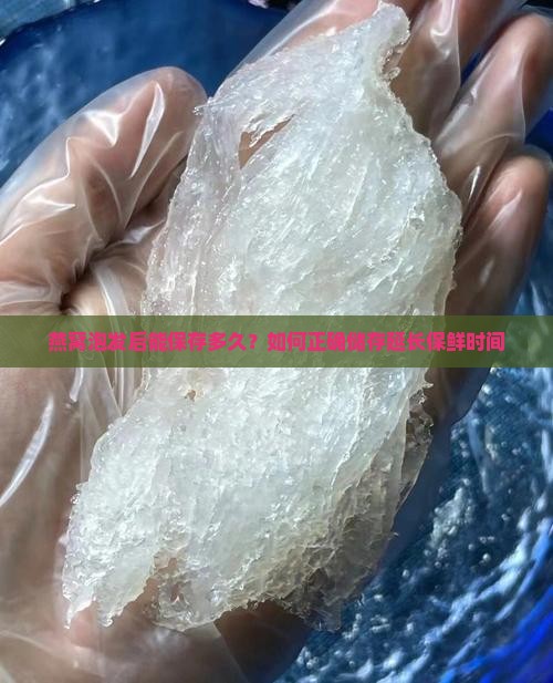 燕窝泡发后能保存多久？如何正确储存延长保鲜时间