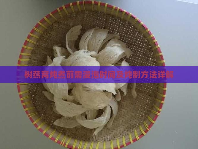 树燕窝炖煮前需浸泡时间及炖制方法详解