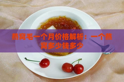 燕窝毛一个月价格解析：一个燕窝多少钱多少