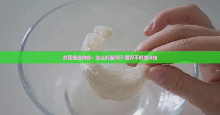 燕窝挑选攻略：怎么判断好坏 看好不好的诀窍