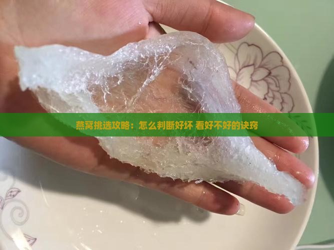 燕窝挑选攻略：怎么判断好坏 看好不好的诀窍