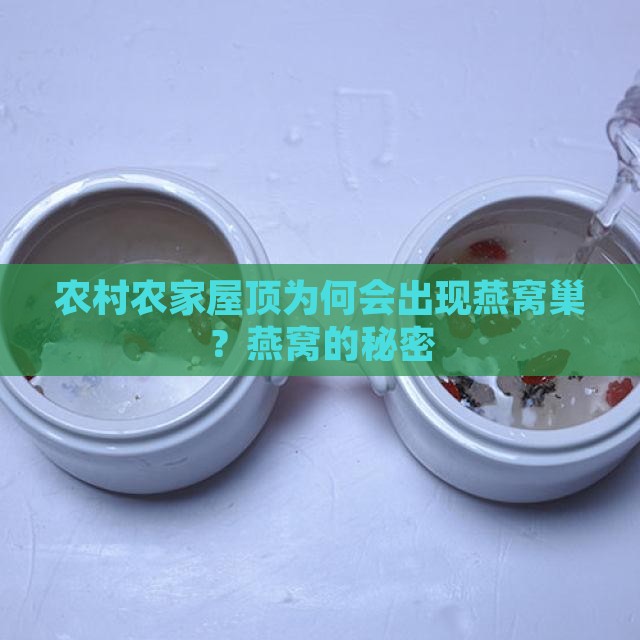 农村农家屋顶为何会出现燕窝巢？燕窝的秘密