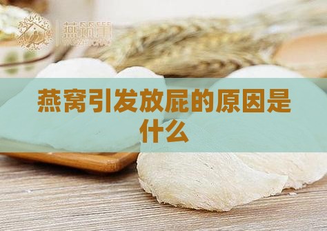 燕窝引发放屁的原因是什么
