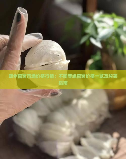 郑州燕窝市场价格行情：不同等级燕窝价格一览及购买指南