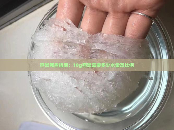 燕窝炖煮指南：10g燕窝需要多少水量及比例