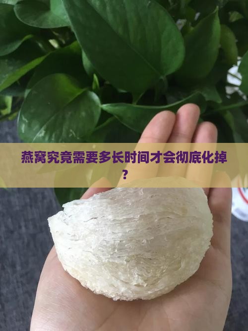 燕窝究竟需要多长时间才会彻底化掉？