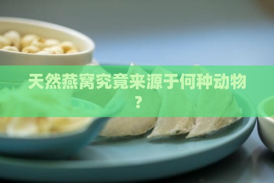 天然燕窝究竟来源于何种动物？