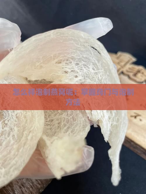 怎么样泡制燕窝呢：掌握窍门与泡制方法