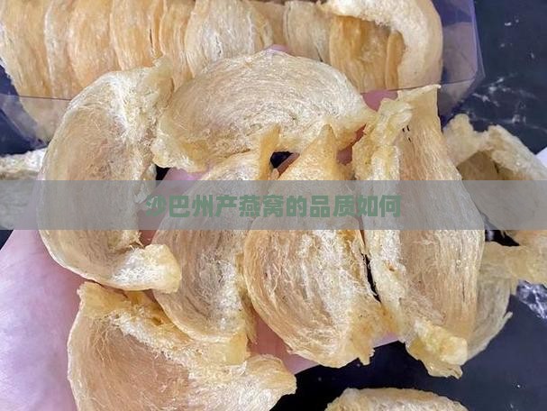 沙巴州产燕窝的品质如何