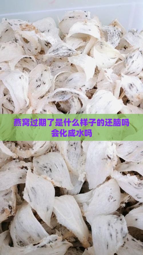 燕窝过期了是什么样子的还脑吗会化成水吗