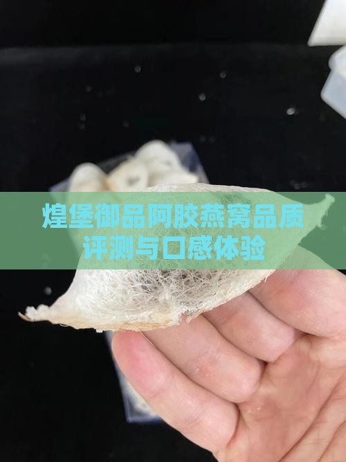 煌堡御品阿胶燕窝品质评测与口感体验