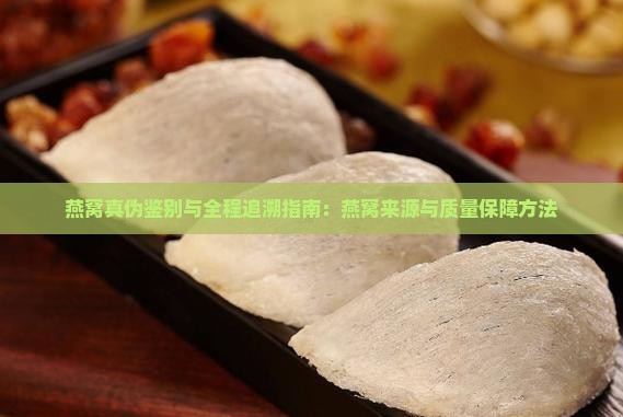 燕窝真伪鉴别与全程追溯指南：燕窝来源与质量保障方法