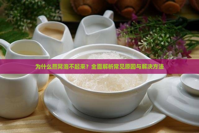 为什么燕窝泡不起来？全面解析常见原因与解决方法