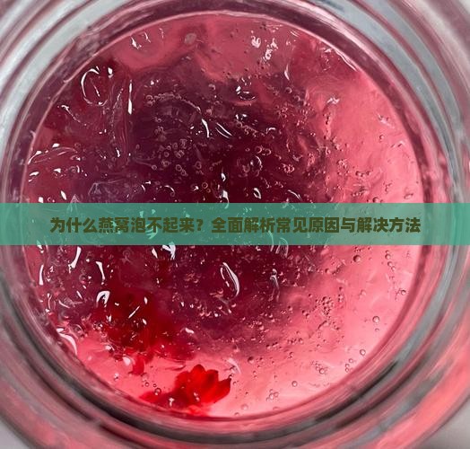 为什么燕窝泡不起来？全面解析常见原因与解决方法