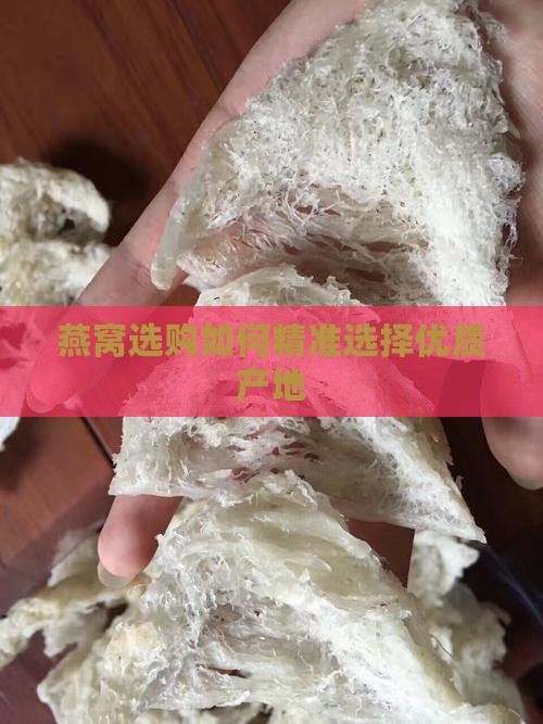 燕窝选购如何精准选择优质产地
