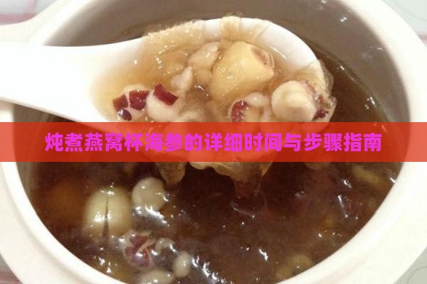 炖煮燕窝杯海参的详细时间与步骤指南