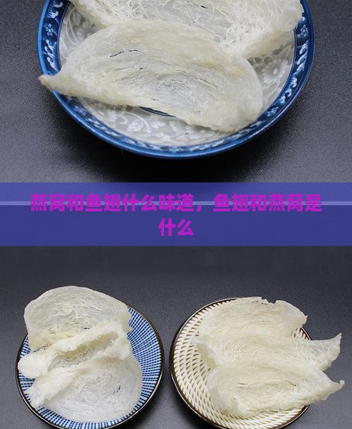 燕窝和鱼翅什么味道，鱼翅和燕窝是什么