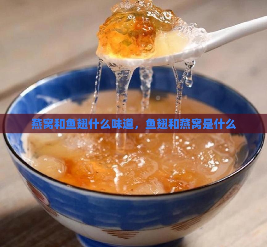 燕窝和鱼翅什么味道，鱼翅和燕窝是什么
