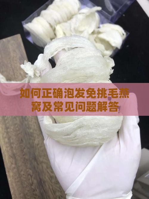 如何正确泡发免挑毛燕窝及常见问题解答