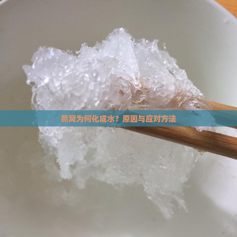 燕窝为何化成水？原因与应对方法