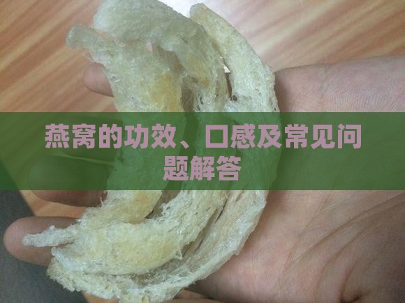 燕窝的功效、口感及常见问题解答