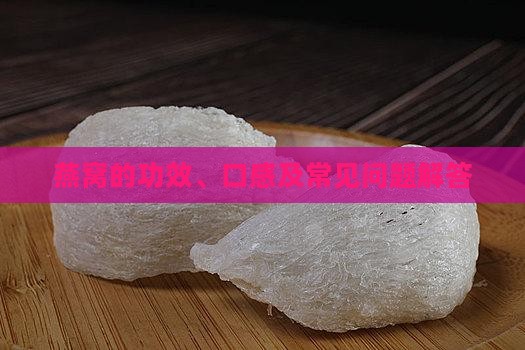 燕窝的功效、口感及常见问题解答