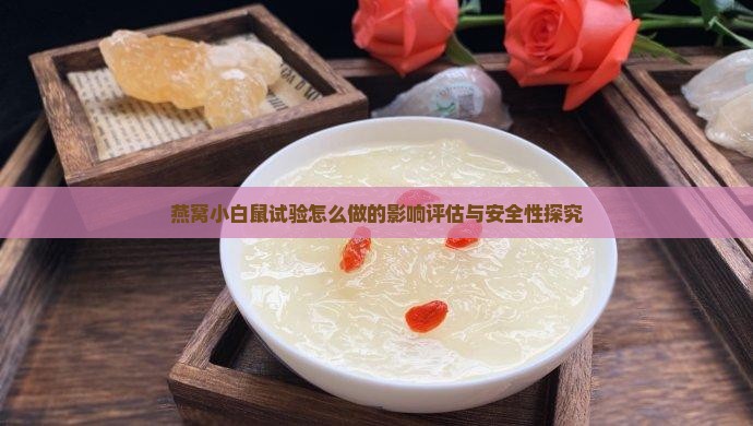燕窝小白鼠试验怎么做的影响评估与安全性探究