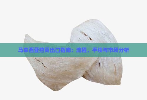 马来西亚燕窝出口指南：流程、手续与市场分析
