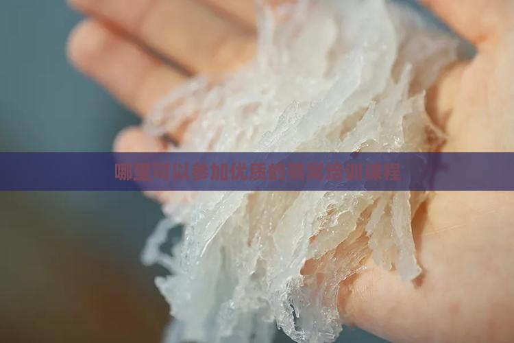 哪里可以参加优质的燕窝培训课程