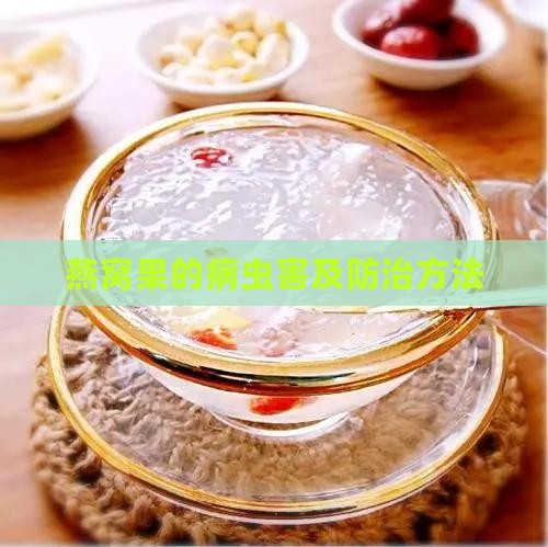 燕窝果的病虫害及防治方法