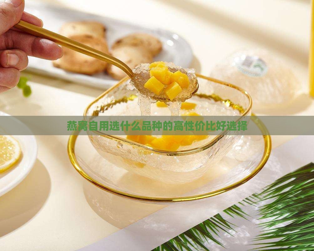 燕窝自用选什么品种的高性价比好选择