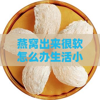 燕窝出来很软怎么办生活小贴士