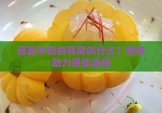 搭配牛奶的燕窝叫什么？银杏助力更佳选择