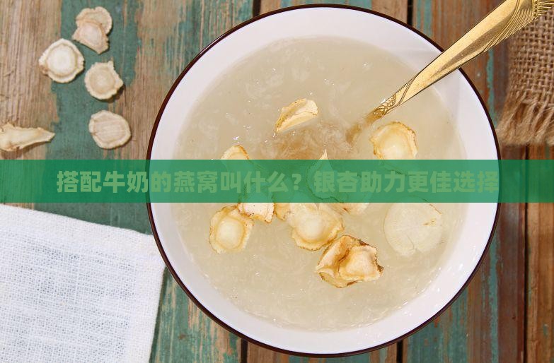搭配牛奶的燕窝叫什么？银杏助力更佳选择