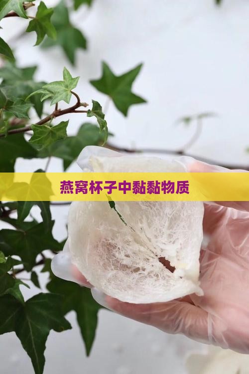 燕窝杯子中黏黏物质