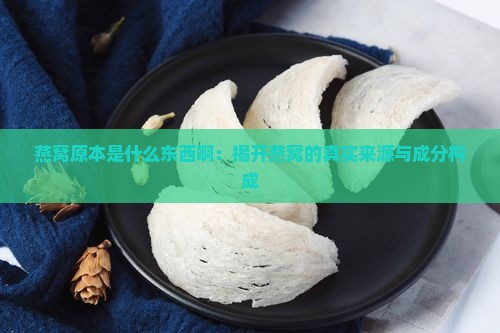 燕窝原本是什么东西啊：揭开燕窝的真实来源与成分构成