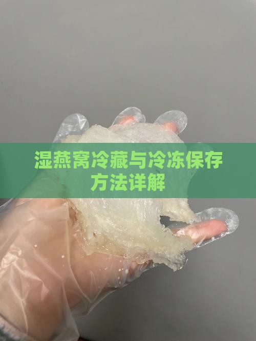 湿燕窝冷藏与冷冻保存方法详解