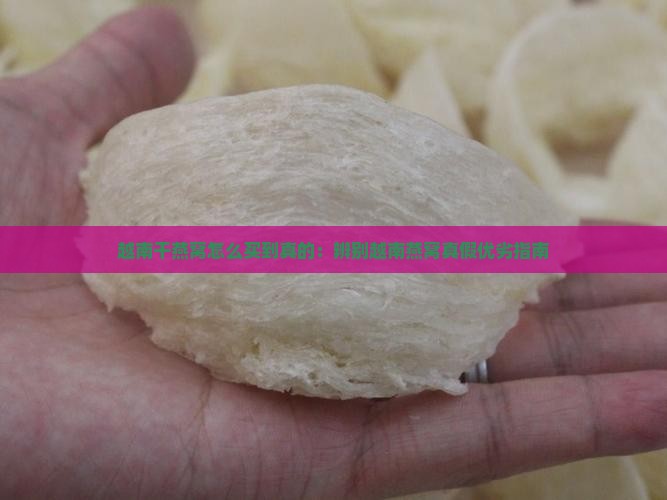 越南干燕窝怎么买到真的：辨别越南燕窝真假优劣指南