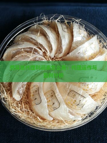 燕窝总代理利润表怎么看：代理运作与盈利分析
