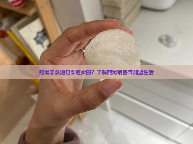 燕窝怎么通过渠道卖的？了解燕窝销售与加盟生活