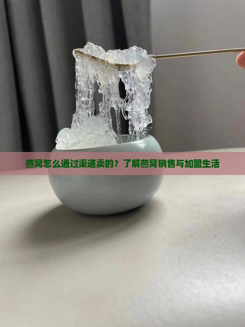 燕窝怎么通过渠道卖的？了解燕窝销售与加盟生活