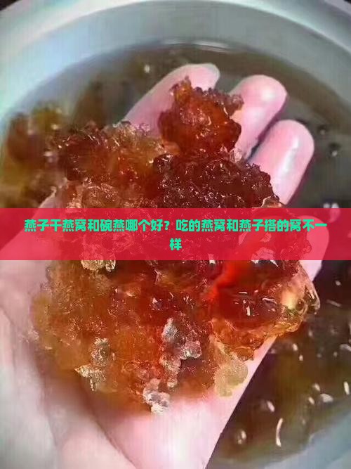 燕子干燕窝和碗燕哪个好？吃的燕窝和燕子搭的窝不一样
