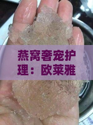 燕窝奢宠护理：欧莱雅燕窝产品正确使用指南