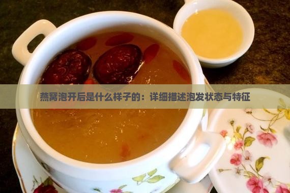 燕窝泡开后是什么样子的：详细描述泡发状态与特征