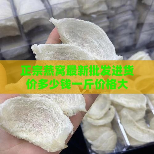 正宗燕窝最新批发进货价多少钱一斤价格大