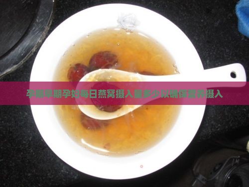 孕期早期孕妇每日燕窝摄入量多少以确保营养摄入