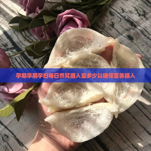孕期早期孕妇每日燕窝摄入量多少以确保营养摄入