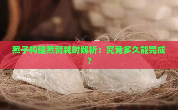 燕子构建燕窝耗时解析：究竟多久能完成？